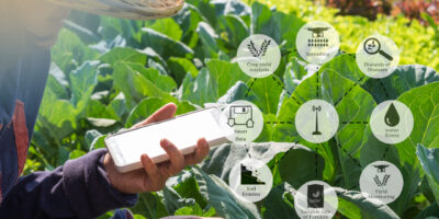 IoT in Livestock Management Market