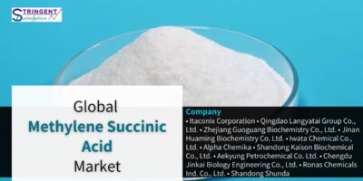 Methylene Succinic Acid Market