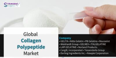 Collagen Polypeptide Market