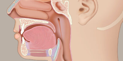 Ear Nose Throat (ENT) Devices Market