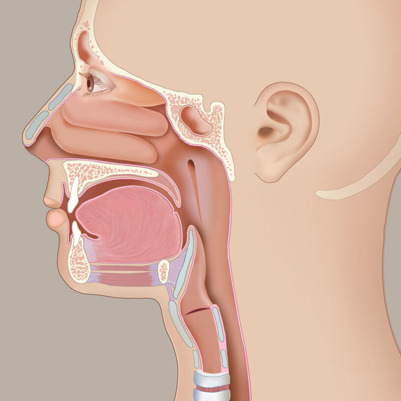 Ear Nose Throat (ENT) Devices Market