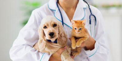 Veterinary Eye Care Product Market