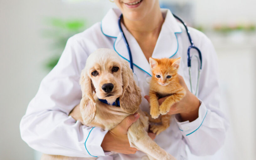 Veterinary Eye Care Product Market