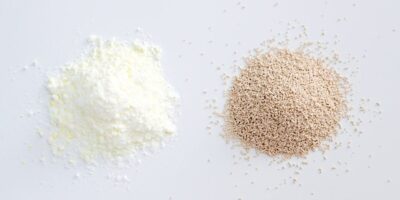 Yeast Powder Market