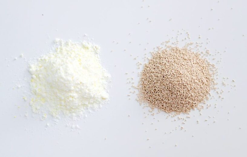 Yeast Powder Market