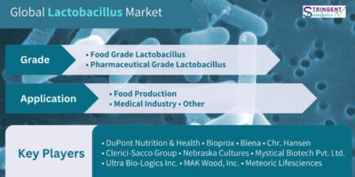 Lactobacillus Market