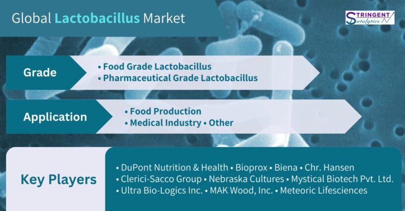 Lactobacillus Market