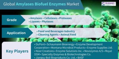 Amylases Biofuel Enzymes Market