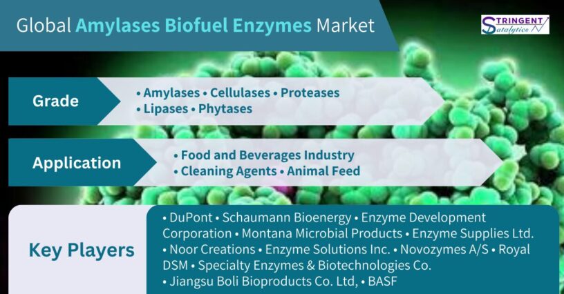 Amylases Biofuel Enzymes Market