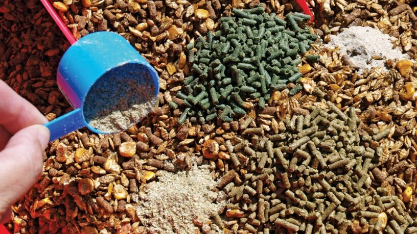 Animal Feed Mineral Additives Market