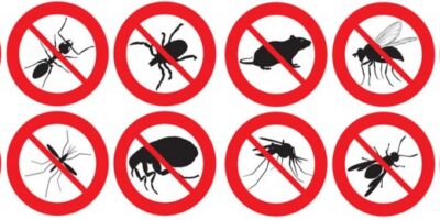 Injurious Insect Control Market