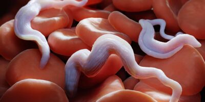 African Trypanosomiasis Market