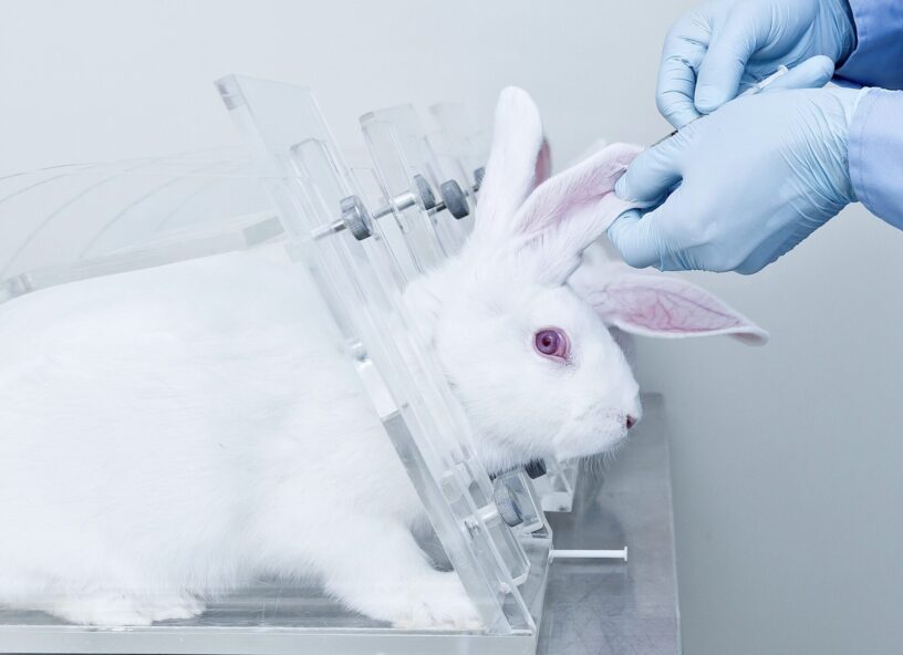 Animal Toxicity Test Market