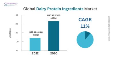 Dairy Protein Ingredients Market