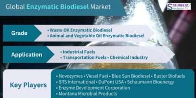 Enzymatic Biodiesel Market