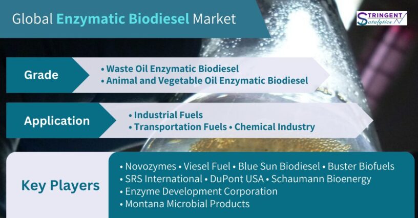 Enzymatic Biodiesel Market