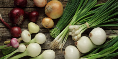 Fresh Onions and Shallots Market