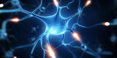 Neuroscience Antibodies and Assays Market