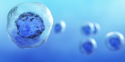 Stem Cell Assay Market