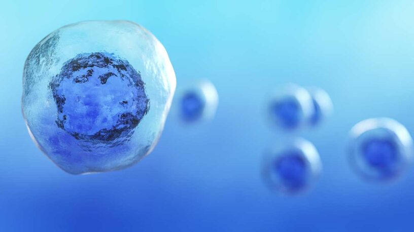 Stem Cell Assay Market