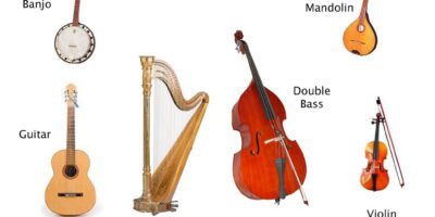 Strings of Stringed Instrument Market