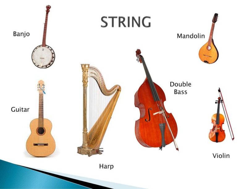 Strings of Stringed Instrument Market