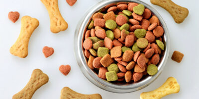 Pet Cat Food Extrusion Market