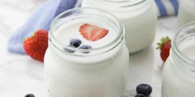 Yogurt And Probiotic Drink Market