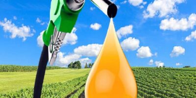 Biodiesel Market