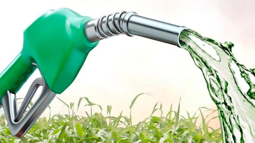 Fuel Ethanol Market