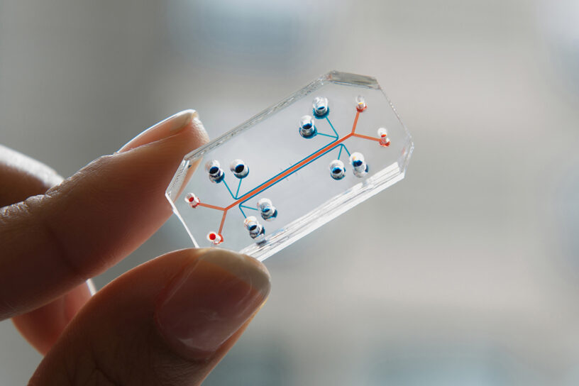 Organs-on-chips Market